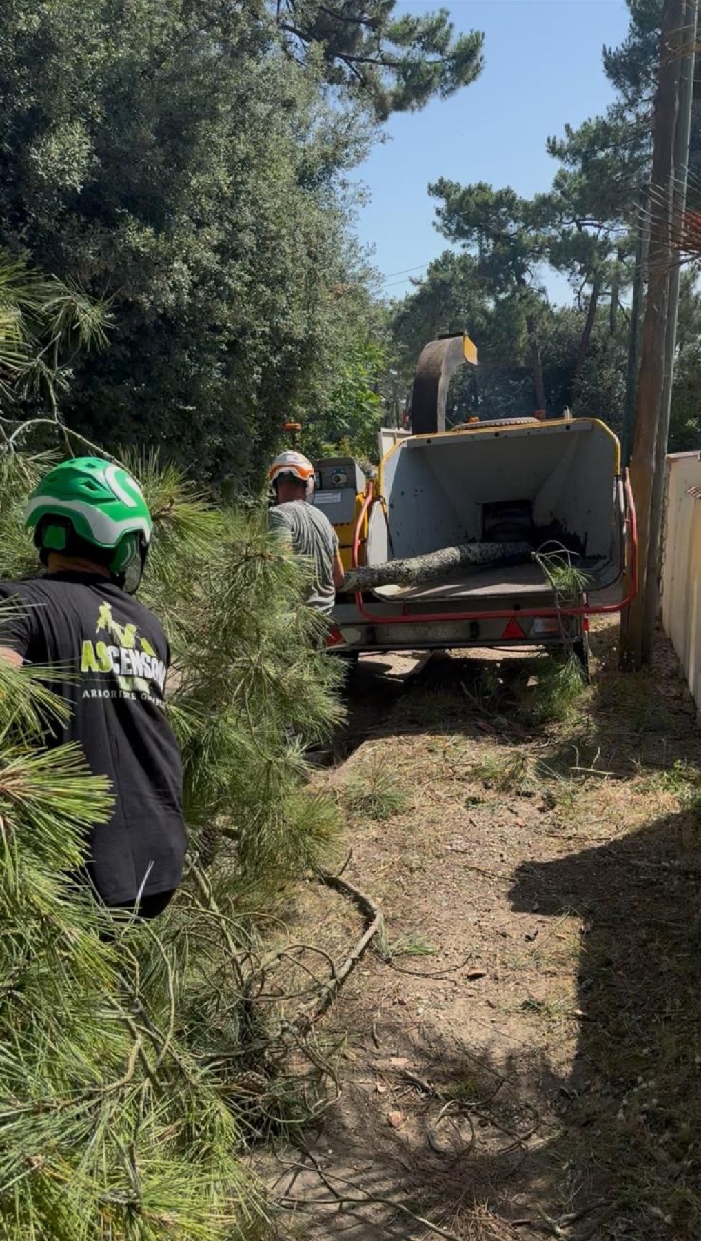 L'équipe Ascension alimente son broyeur de branches sur le chantier à Royan