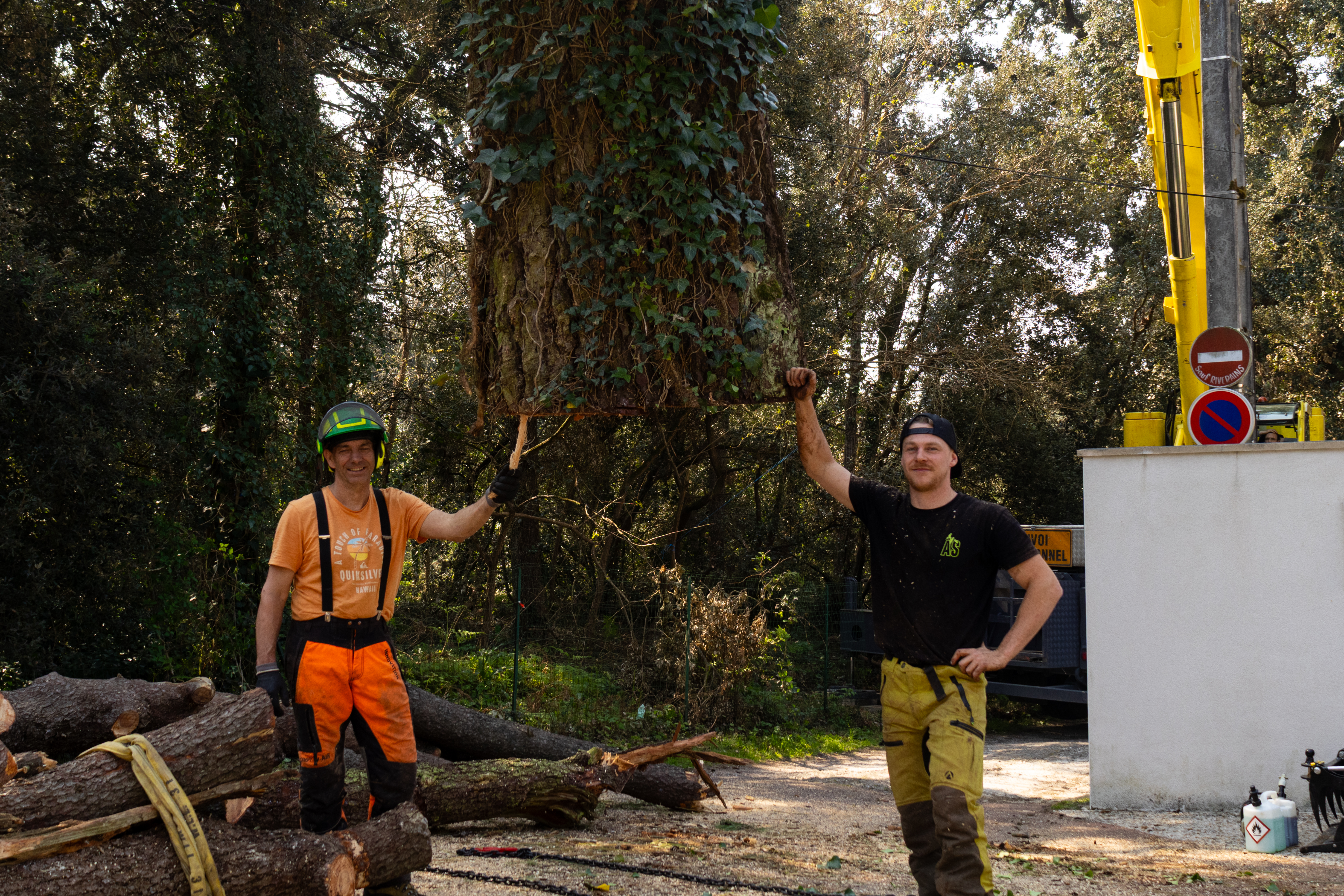 Entretien des espaces verts à Royan par Ascension