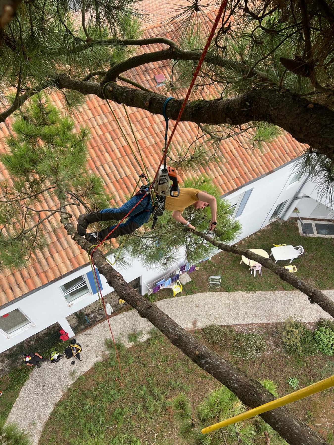 Grimpeur en équilibre sur une branche au-dessus d'un jardin à Royan